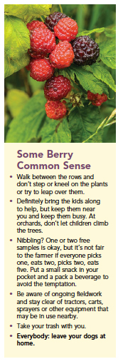 berry-common-sense