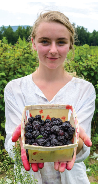 Katie Schroeder’s freshly picked black raspberries would be delicious in a cobbler, as raspberry dumplings or maybe as raspberry whip with fresh raspberry cream.