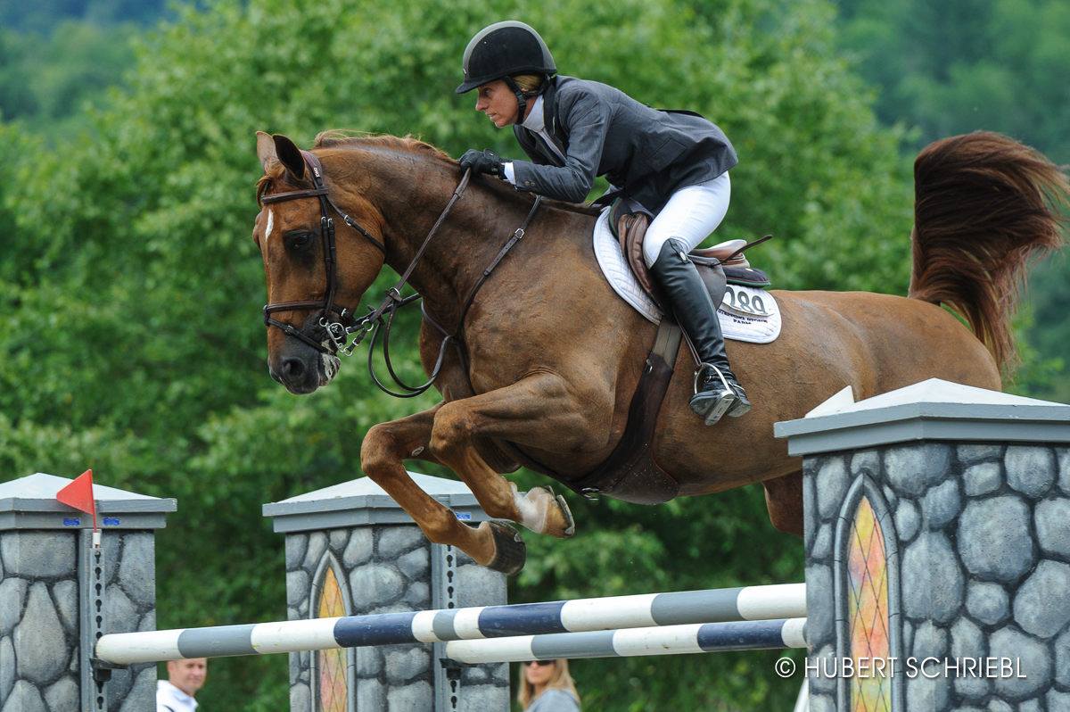 vermont summer festival horse jumping