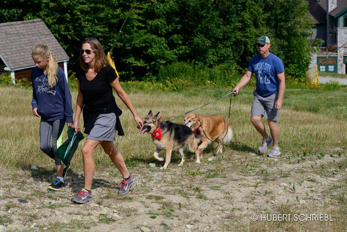 paws for a cause at stratton mountain