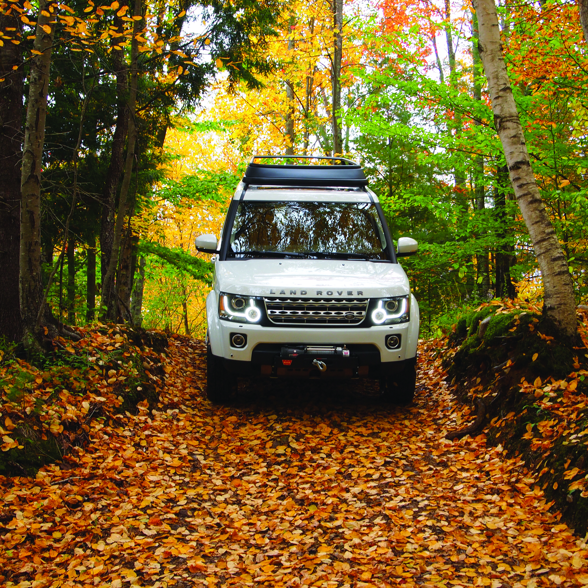 Land Rover driving through woods