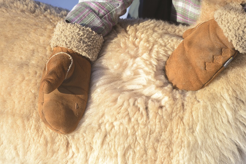 alpaca fur mittens and throw blanket