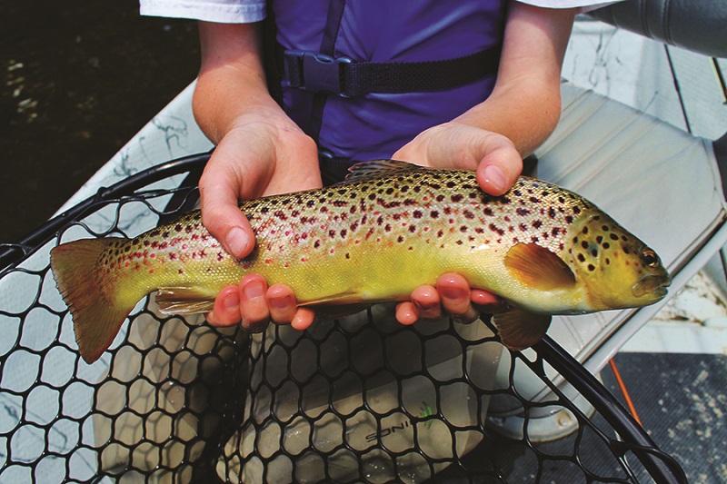 Flyfishing Battenkill River Red Covered Bridge Road Arlington