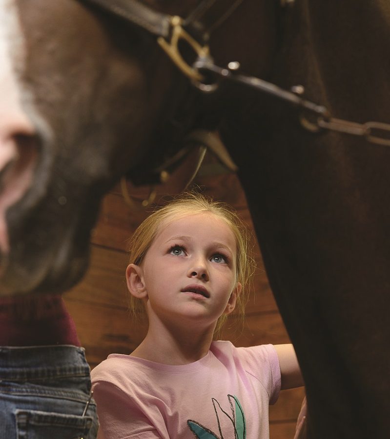 young girl with horse