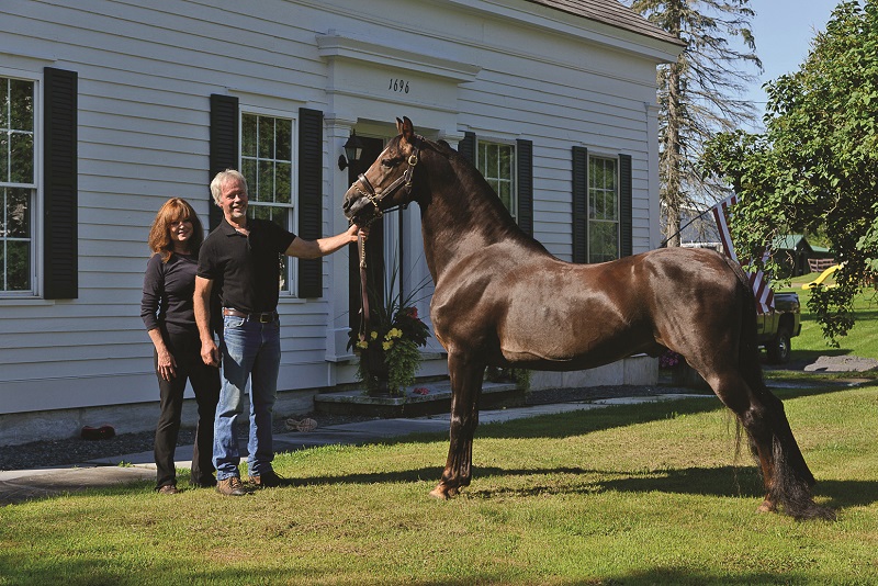 east of equinox farm horse