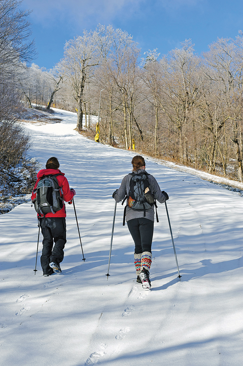 uphill skiers